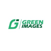 Green Images Marketing and Consulting Limited logo - Similar company to Veedemy