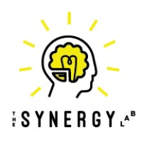 The Synergy Lab logo - Similar company to Insights Bridge