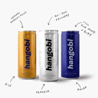hangobi logo - Similar company to Skygate Growth Strategies