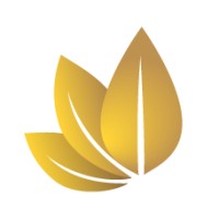 ITALIA CIGAR COMPANY logo - Similar company to Exero Srl (Also Group)