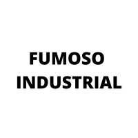 Fumoso Industrial logo - Similar company to Strivia