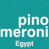 Pino Meroni Egypt logo - Similar company to Lighton Solutions Egypt