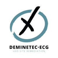 deminetec-ecg logo - Similar company to Saricon Safety & Risk Consultancy