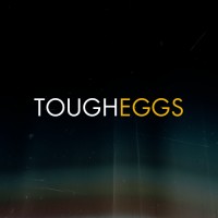 Tougheggs Studios logo - Similar company to Limerent