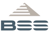 BSS Holland BV logo - Similar company to Deltaquad