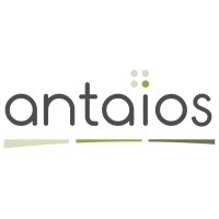 Antaios logo - Similar company to Amitecte