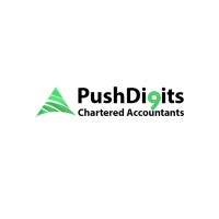 Push Digits Chartered Accountants (UK) logo - Similar company to Push Digits Chartered Accountants (Pk)