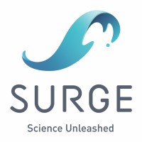 SURGE Innovation logo - Similar company to Digital Flow Consulting