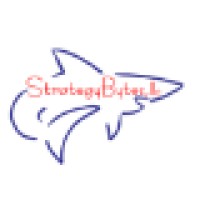 Strategybytes, Llc