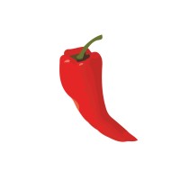 Redchilli Network Ltd logo - Similar company to Server Consultancy Ltd