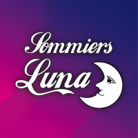 SOMMIERS LUNA logo - Similar company to San Justo Minera Sa