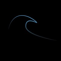 Wise Wave Traders logo - Similar company to Highlightx
