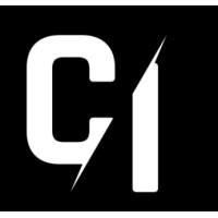 Customer Insight logo - Similar company to Customer Insight