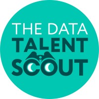 The Data Talent Scout logo - Similar company to Kdr Talent Solutions