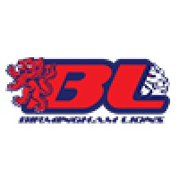 Birmingham Lions logo - Similar company to Matthew Holmes