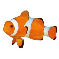 MR Aquariumservice logo - Similar company to Graham Hulsebos Verkooptrainingen Sales Training
