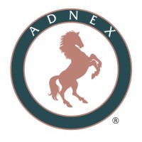 Adnex Interior Solution Sdn Bhd logo - Similar company to Goodwinds Project Solutions