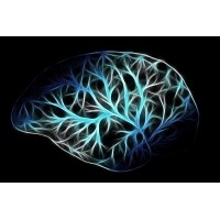 AI Driven Analitycs logo - Similar company to Engaging Ai
