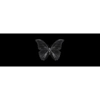 touchDesigner logo - Similar company to The Interactive & Immersive Hq