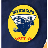 Intriago's Karate Do logo - Similar company to Lemaler