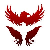 RAVEN PMG logo - Similar company to Flex Design Studio