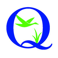 Queenstown Bank logo - Similar company to Mercantile Processing, Inc. (Mpi)