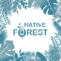 Native Forest logo - Similar company to Proper Beverage