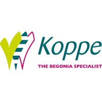 Koppe Begonia logo - Similar company to Edelcactus B.V.