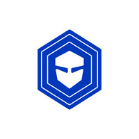 IronBrain logo - Similar company to Everywhen