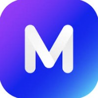 Mojo Mesh - Digital Marketing Agency logo - Similar company to Ronnoco
