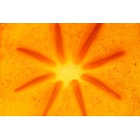 Persimmon AI logo - Similar company to Persimmon