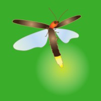 Homegrown National Park® logo - Similar company to Wild Ones: Native Plants, Natural Landscapes