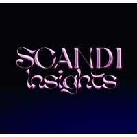 Scandi Insights logo - Similar company to Special Forces Strategy