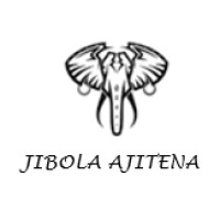 Jibola Ajitena Therapy & Life Coach logo - Similar company to Stablehold