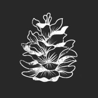 Hemlock Media Co. logo - Similar company to Justworks Llc