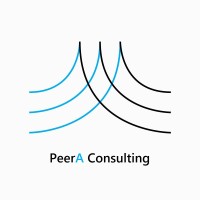 PeerA Consulting logo - Similar company to The Deep Bench