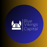Blue Vikings Capital LLC logo - Similar company to Dsv Fund