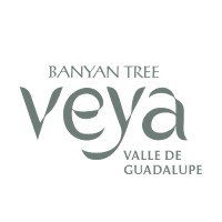 Banyan Tree Veya Valle de Guadalupe logo - Similar company to Interactive Sites