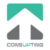 CONSUPTING
