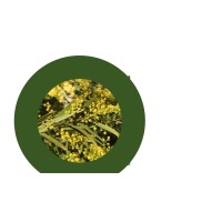 Regen Brisbane logo - Similar company to The Shady Lanes Project