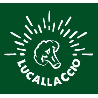 Lucallaccio logo - Similar company to Convers(At)Ion