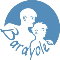 Barayole logo - Similar company to Dec