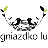 gniazdko.lu logo - Similar company to Cque
