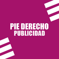 PIE DERECHO PUBLICIDAD logo - Similar company to Sed