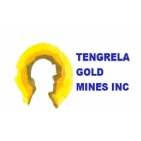 TENGRELA GOLD MINES Inc logo - Similar company to Barkinde Mining