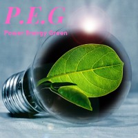 P.E.G. POWER ENERGY GREEN logo - Similar company to Oktra Ev P Ltd.