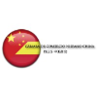 Camara de Comercio Hispano China (西班牙中国商会) logo - Similar company to Efecto China