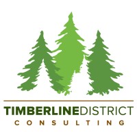 Timberline District Consulting logo - Similar company to Schedio Group