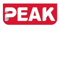 Golriz Negar PEAK | گلریز نگار پیک logo - Similar company to Dotnek
