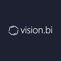 Vision.bi logo - Similar company to Gilon